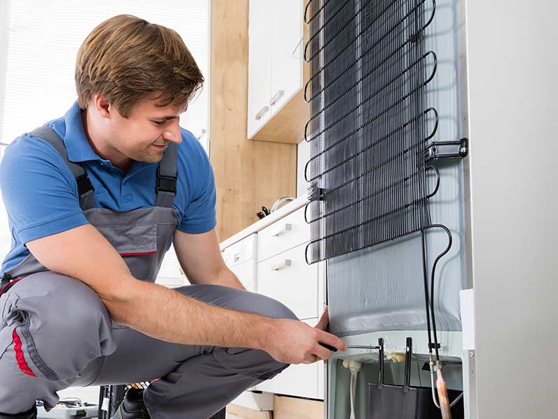 Reparación de Frigoríficos Candy